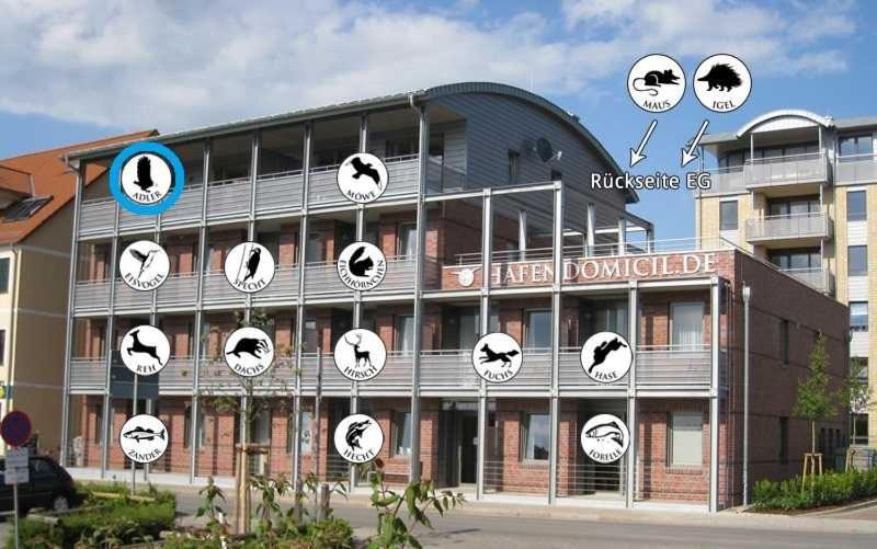 Hafendomicil Appartement Wh15 - Adler فارين المظهر الخارجي الصورة